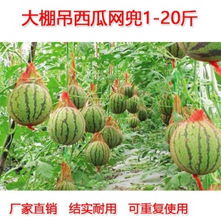 Greenhouse hanging watermelon net bag thick hanging melon hanging melon net bag Hami melon 10kg red rope plastic net bag wholesale