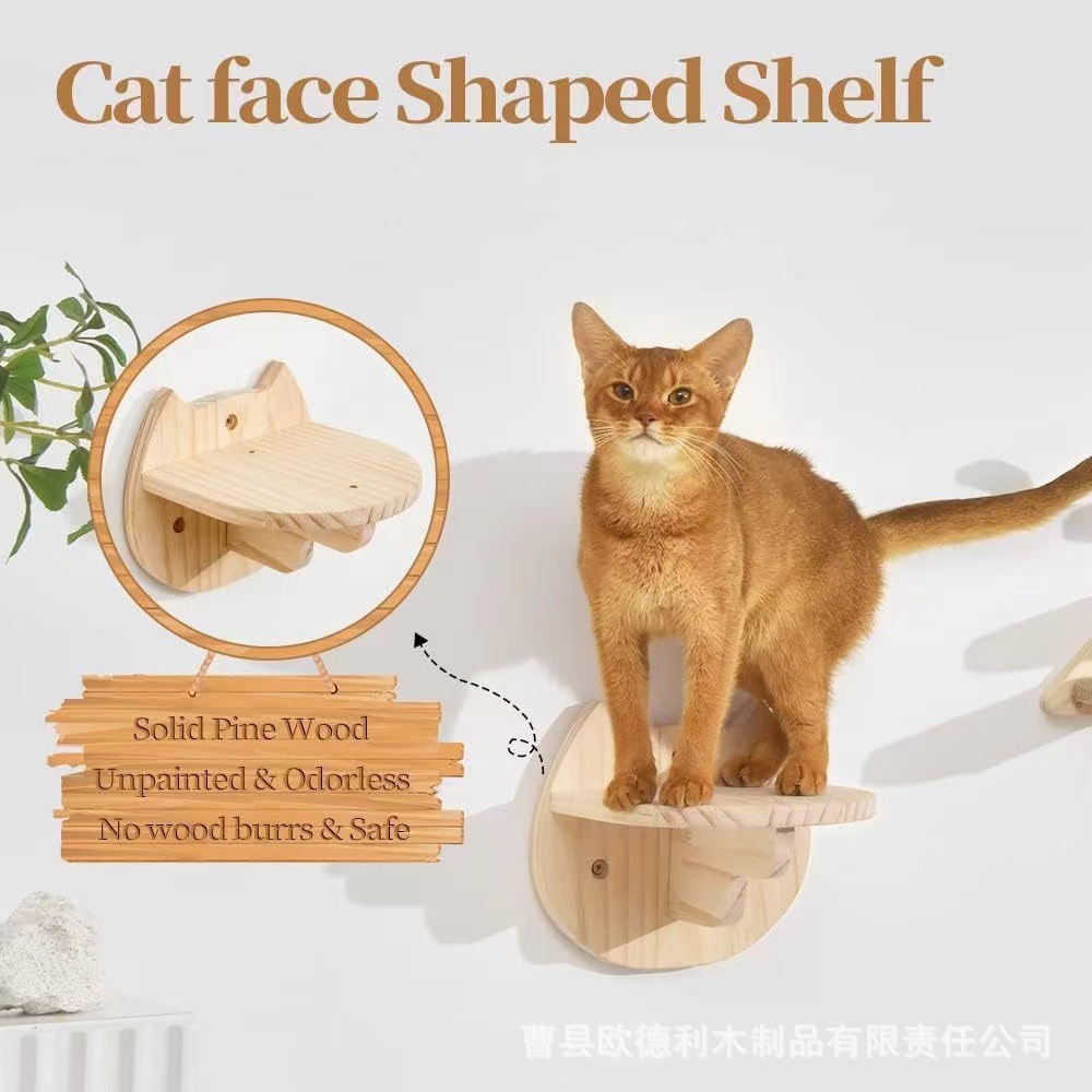 微信图片_20240817143438