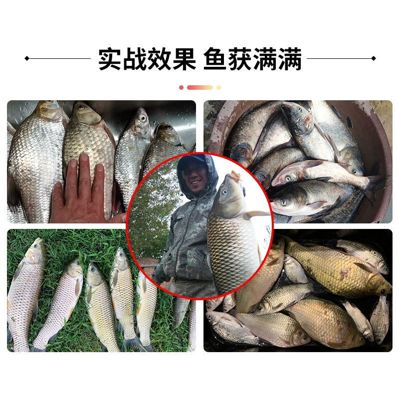 西部风 VB corn bait fishing hook particle bait grass carp carp sweet tender corn bottle fishing bait