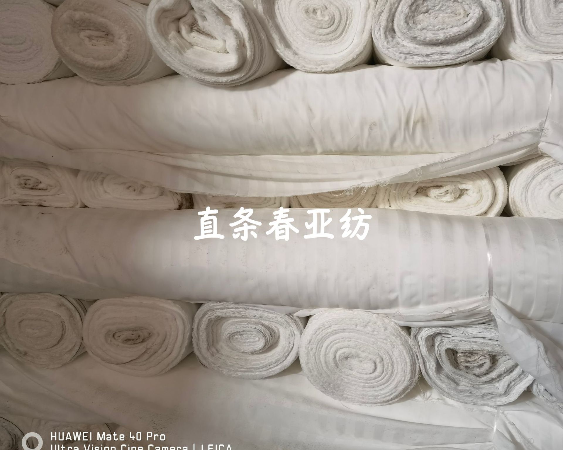 喷水斜纹条子宽幅春亚纺，浴帘，窗帘胚布