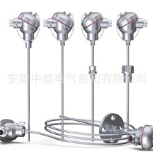 �b��ʽ�p֧�����WZP2-230 ������ �̶��ݼy�B��