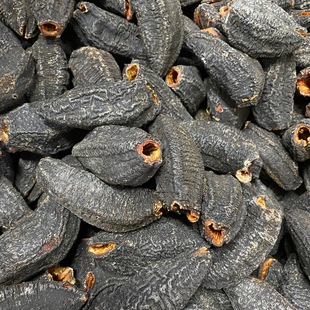 ����Ƥ���l ���ô���u�t�O�����_˹����Ƥ���ɺ���12һ15�^