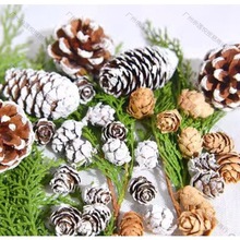 ����Ȼ�ɹ������������Ư�׉T��С���~���Ĕz�����}�Q���b������