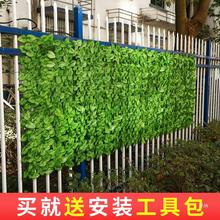 绿萝叶栅栏叶子吊顶装饰藤条阳台遮阳网围墙树叶围栏护栏绿植