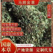 包邮云南源头草药马蹄金小叶金钱草天然无硫小金碗草荷包草黄胆草