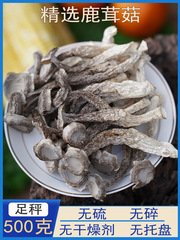 鹿の角茸 乾物 500g 送料無料 鹿の角茸スープ 雲南クリスピーマッシュルーム きのこ