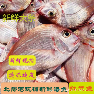 ���������r����Ƽt���~�r���ك������~����t�~���~�t���~�t��