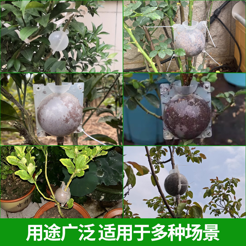 発根器飼育箱クロスボーダー植物挿し木接ぎ木苗木高圧挿し木発根球形培養器|undefined