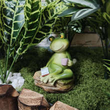 TEMU����������ܵ���ͥԺ���@���^�쾰�����b�Ʒ��ͨ��֬��ˇƷ