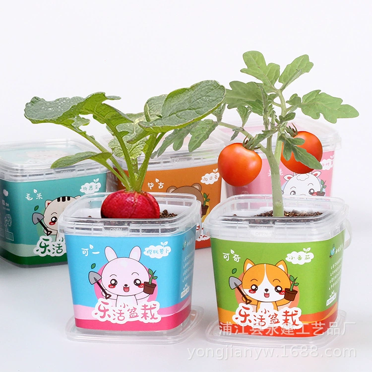 DIY выращивание посадка творческий подарок на детский день пластиковый цветочный горшок студенческое наблюдение зеленая коробка для посадки растений