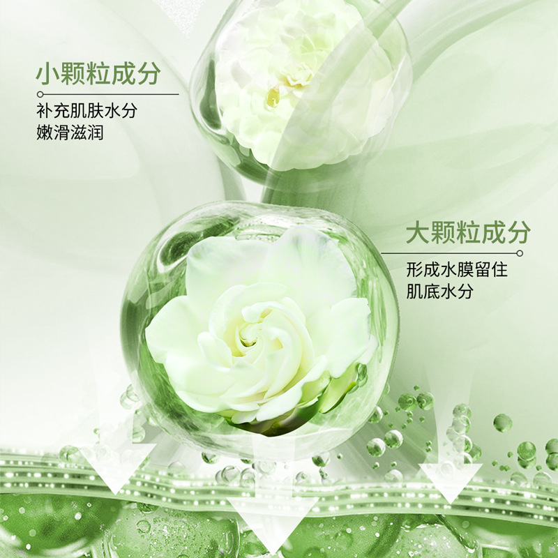 Shangduo Camellia refrescante y relajante set de seis piezas para hidratar, humectar y rejuvenecer la piel, para mejorar la belleza de la piel.