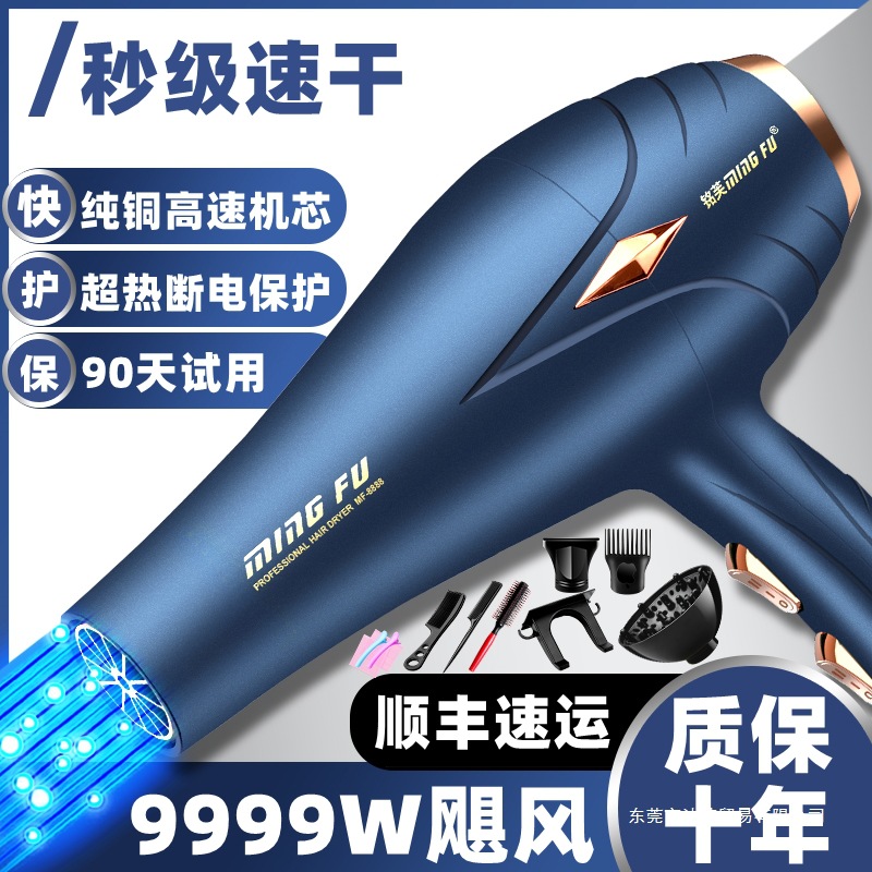 Hair Salon Special Hair Dryer Barber Shop High-Power Household Negative Ion Hair Care Quick-Drying Three-Plug Hot and Cold Air Dryer