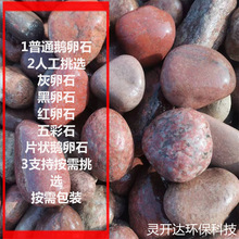 ͨZʯ 쾰˹xʯƬʯ tɫɫɫʯ