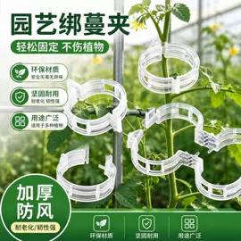 清洁球/刷;抹布、百洁布;衣钩/挂钩