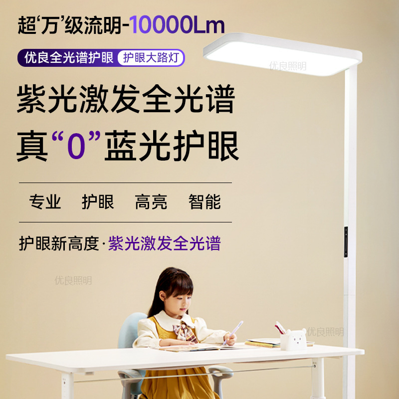Original Purui Vertical Eye Protection Floor Lamp Student Learning Eye Protection Street Lamp up and down Luminous Piano Floor Lamp Original Purui Vertical Eye Protection Floor Lamp Student Learning Eye Protection Street Lamp up and down Luminous Piano Floor Lamp
