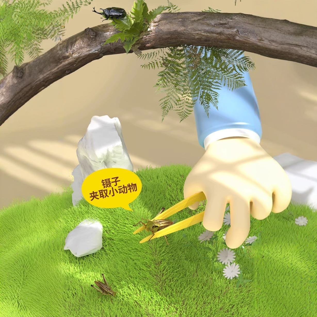 Caja de observación de insectos multifuncional transfronteriza camping al aire libre portátil aventura captura interesante experimento científico juguetes hechos a mano