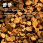 ��Ӧ��δ�¶ �����Ƭ����  ��¶���� ��ӭ��ѯ��ⱸ��������