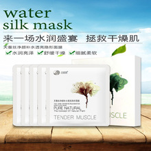 菲姿蔓妮天蚕丝净颜补水透亮隐形面膜净颜补水菲姿曼妮补水