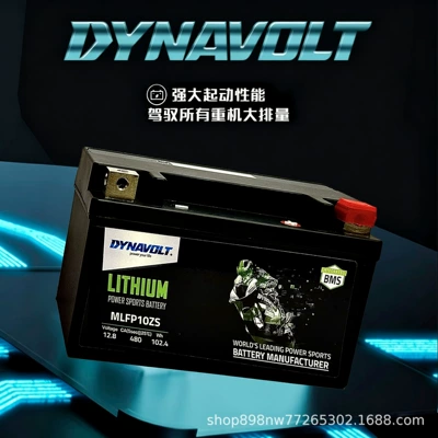 Fierce Lion lithium battery Car battery/battery