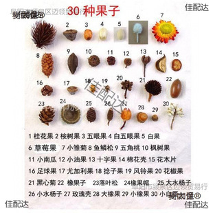 �ɻ��b��޻�����ɹ���֦���~ɏ����׃��@�ֹ��h������