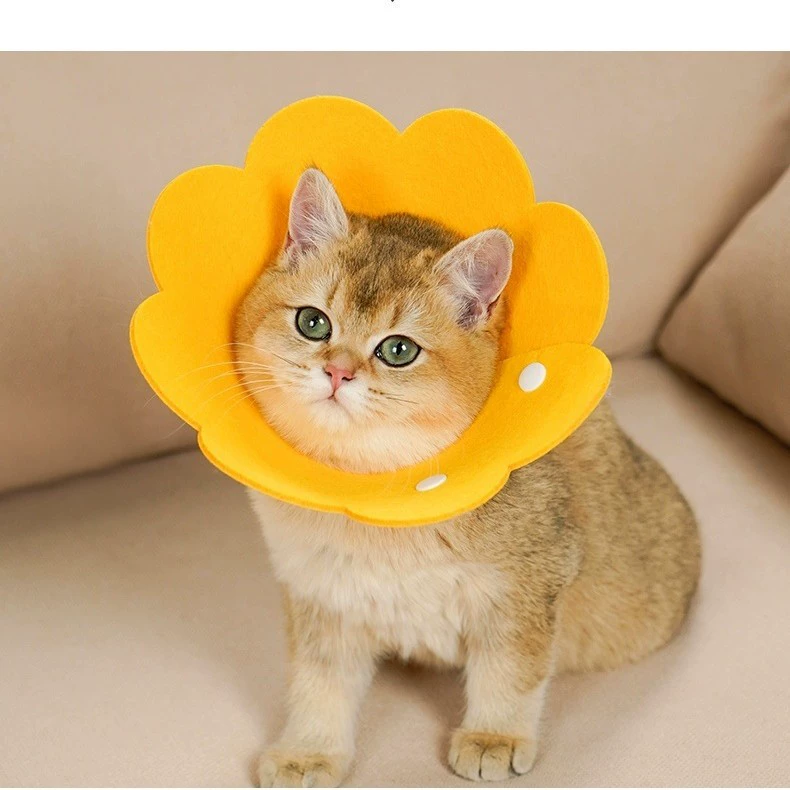 Трансграничный елизаветинский круг кошачий ошейник для домашних животных Тонкий войлочный чехол для головы восстанавливается после операции анти-облизывания регулируемый ошейник