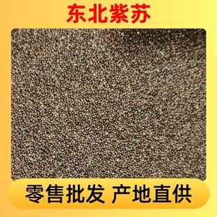 �������l �|���خa���r���K ���K��ʳ���K�� ���K�N�Ӯa��ֱ��