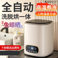 迷你智能内衣裤洗衣机全自动洗烘脱一体家用小型高温煮洗洗袜子机