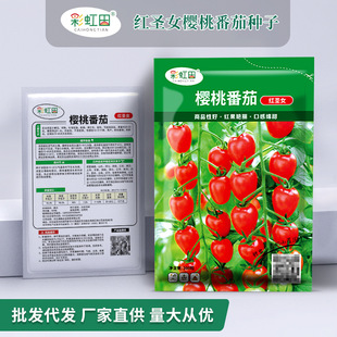 �t�}Ů���N�љ��ҷ��ѷN�Ӵ������ļ��̨С���ѷN��֧��һ�����l