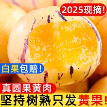 ����˅���ˮ���A���S�������rʯ���˅���������������������]