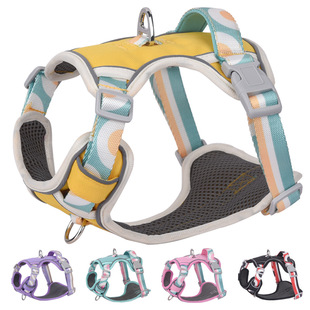 Cross-border new dog leash for walking out dog rope chest strap medium and large dog chain dog leash explosion-proof punch