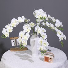 ���Q�����m���滨38Ӣ��9�^�����m�Ҿ��b�����Y��c���컨
