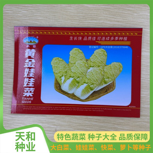 ���N�߲� ���޲˷N�� �r���̨СԺ�߲˷N�� ���L���S�a����