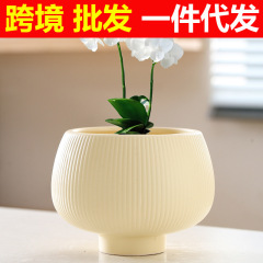 Bulk Cross-border Amazon Influencer Ceramic Plant Pot for Green Plants and Succulents, Stylish European Simple Design, One-time Order