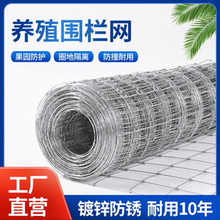 Anti-Rust Fence Net, Hot-Dip Galvanized Iron Wire Net, Cattle and Sheep Corral, Orchard Protective Net, Mountain Net, Breeding Net, Cattle Corral Net