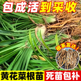 �S���˸���ʳ���S���˷N���ᘲ˽�ᘻ��������N���ڰl���ɻ�