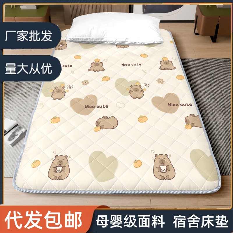 바닥에서 자는 특수 수면매트, 학생기숙사용 소프트매트, 접이식 싱글 및 더블매트, 임대용 매트