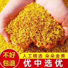 正品桂花茶特级500g桂林泡水浓香金桂花干新鲜食用做桂花糕除口臭