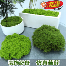 ����̦�\����΢���^�[����ƺ��̦�辰�����b��쾰�ٽz��ë��̦�\