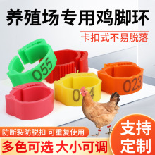 �u�_�h����ʽ�u���_�h�_Ȧӛ̖�h�u���Z����˺������u�_�R�e�h