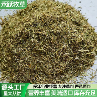 ��ݷ�����ţ���������ԭ��4���׺Y�W�ҷ�10���¿ɴ��滨������