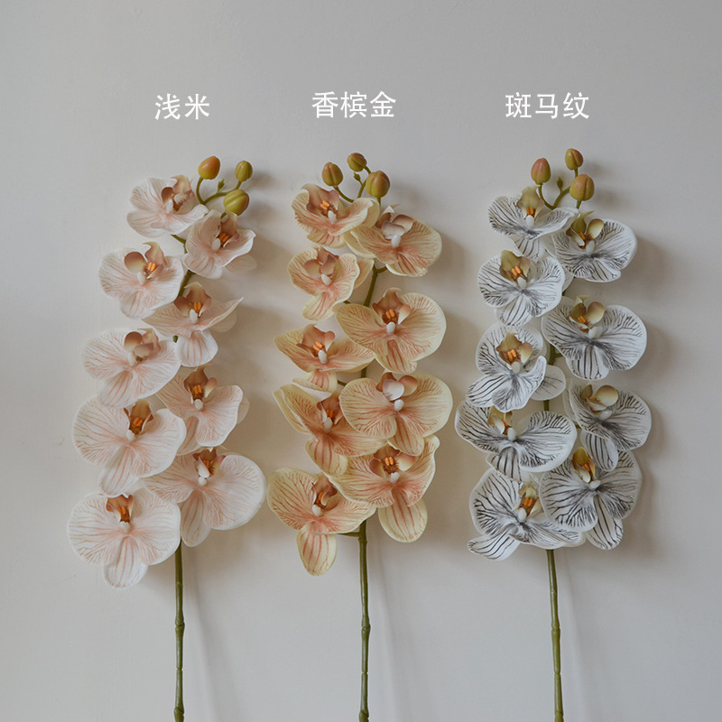 DSC_1518 拷贝.jpg