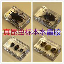 ˮ���z���x�˱����ս̾�͸��֬�[��֩��ϐ�ӽ������xư�x���նYƷ