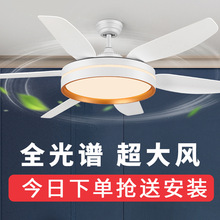 �¿�͏dd���ȟ����ȟ�����һ�w���L��������픵���ȫ���V