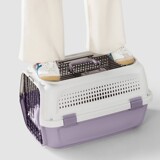 Парта для домашних животных кошачьей воздушной коробки на моторную кошку кошачья кошка кошачья сумки для собак собака транспортируют коробку продуктов