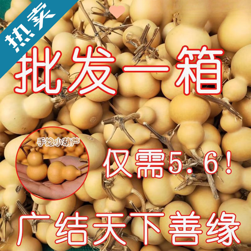 葫芦特价金捻里文玩小葫芦精品批发小手手把件天然葫芦挂件手捻