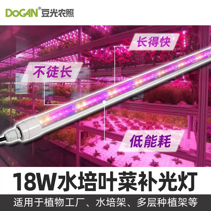 植物生长灯LED全光谱组培灯蔬菜盆景育苗T8LED组培灯红蓝补光灯