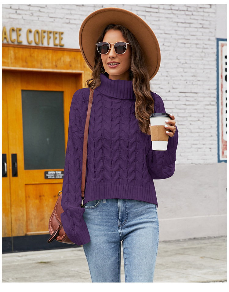 Women's Sweater Long Sleeve Sweaters & Cardigans Casual Simple Style Solid Color display picture 2