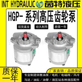 液压高压齿轮泵HGP-1A/HGP-2A/HGP/3A-4R正品齿轮泵液压油泵配件