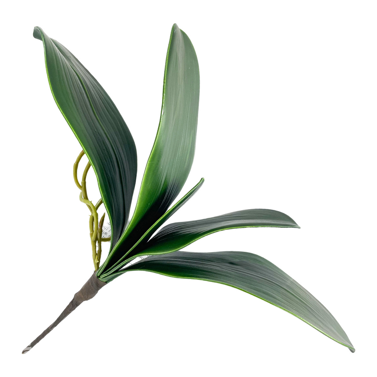 La nueva hoja de Clivia de goma suave de alta gama, plantación verde de simulación, jardinería, jardinería, arreglos florales en macetas, accesorios decorativos, flores