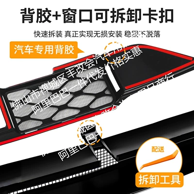 decorative strip for cars — Automobile anti-insect net